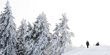 Sibirien-Kälte legt Europa lahm