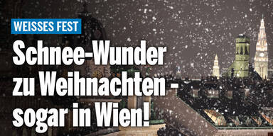 Schnee-Wunder zu Weihnachten - sogar in Wien!
