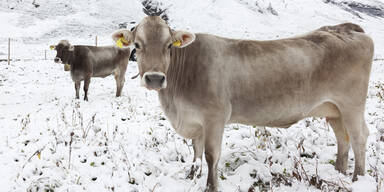 Wetter: K&auml;lteeinbruch ab Mittwoch