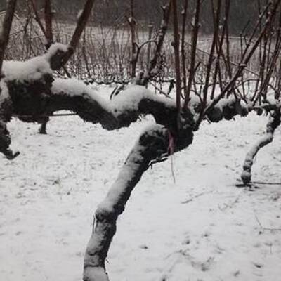 Sturm, Orkan und Schnee