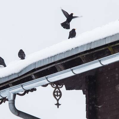 Wintereinbruch in Österreich