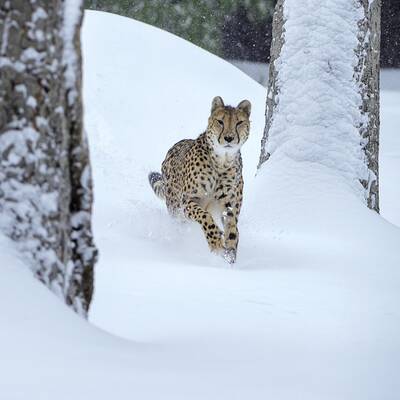 Wintereinbruch in Österreich