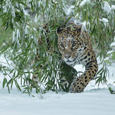 Wintereinbruch in Österreich