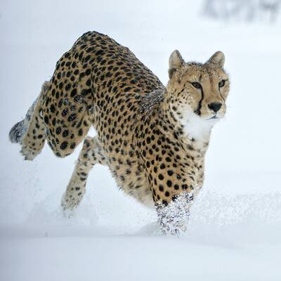 Wintereinbruch in Österreich