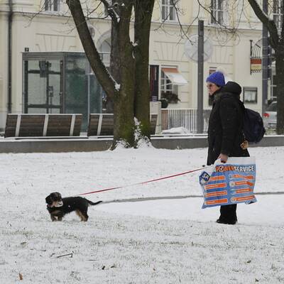 Auch in Oberösterreich hat es Schnee