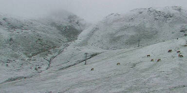 Schnee mitten im August