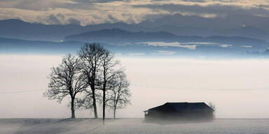 Das hilft gegen den Winterblues