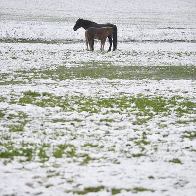 Die Edelweissalm - tief verschneit
