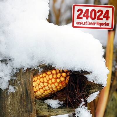 So verschneit ist Österreich: Wien-Umgebung