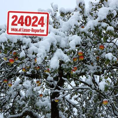 So verschneit ist Österreich: Wien-Umgebung