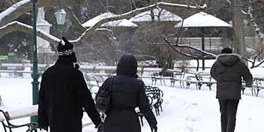 Schneewalze über Österreich