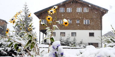 30 cm Neuschnee in Österreich