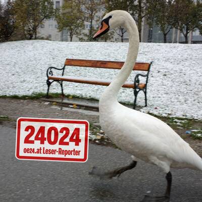 So verschneit ist Österreich: Wien-Umgebung