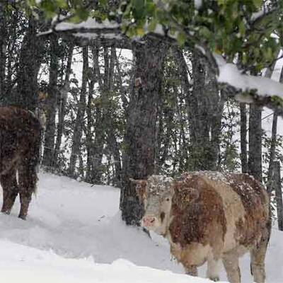 Rekordmenge an Schnee