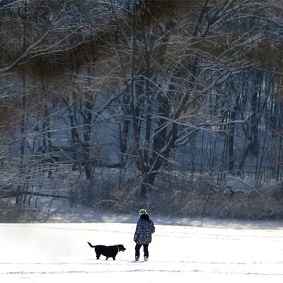 Winter feiert sein Comeback