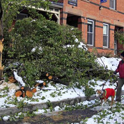 Schneechaos an US-Nordküste