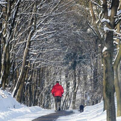 Winter feiert sein Comeback