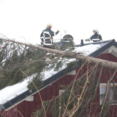 Schneesturm über Österreich