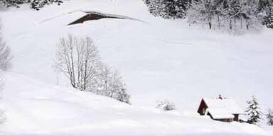 schnee