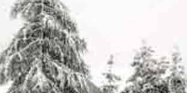 schnee