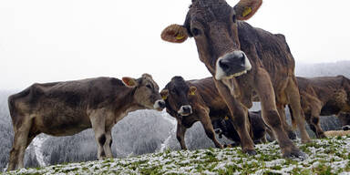 Sonne, Regen, Gewitter und Schnee