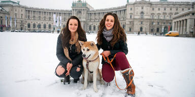 Wann kommt der erste Schnee nach Wien?