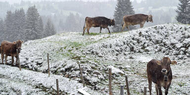 Wetter: Es wird richtig ungem&uuml;tlich