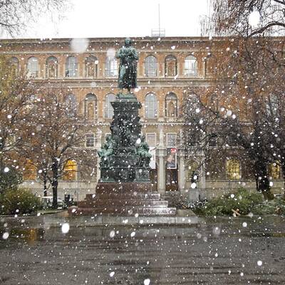 Schnee in Wien