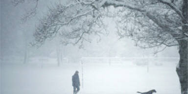 Bereits 55 Tote nach Schneestürmen in den USA