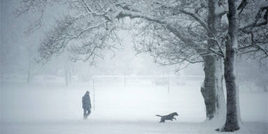 Bereits 55 Tote nach Schneestürmen in den USA