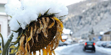 Jetzt wird's kalt: Der Winter ist da!