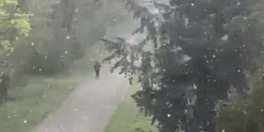 Schneefall in Laxenburg