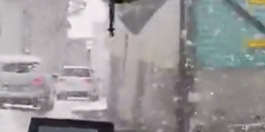 schneetiroö.png