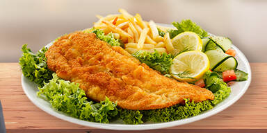 Netz lacht &uuml;ber Schnitzel-Fail der FP&Ouml;