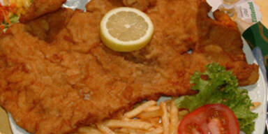 Dioxin-verseuchtes Fleisch wurde schon verzehrt