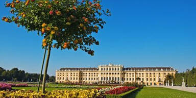 Die Wiener Sehenswürdigkeiten im Besucherranking