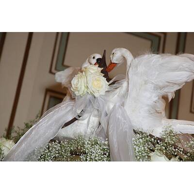 Mucha: Die schönste Braut der Stadt