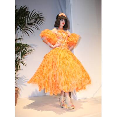 Ringstrassen-Galerien Designer Award 2011