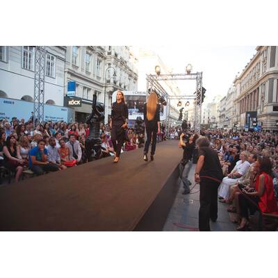 Vienna Fashion Night