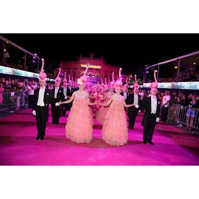 Life Ball: Die schönsten Bilder der Eröffnung