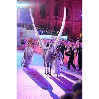 Life Ball: Die schönsten Bilder der Eröffnung
