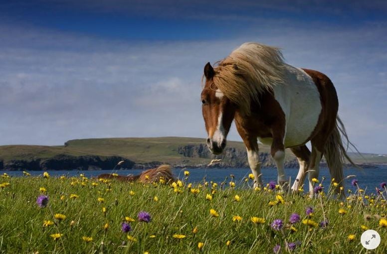 60.000 Euro um auf einer dieser Inseln zu leben