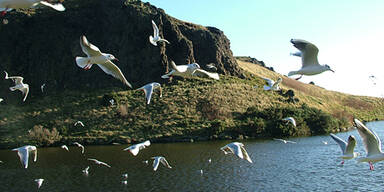 schottland_sxc