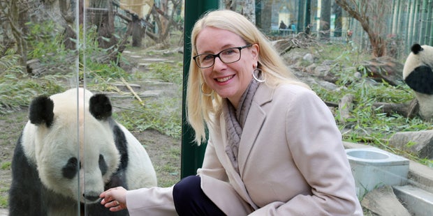 Österreich bekommt wieder ein Panda-Männchen