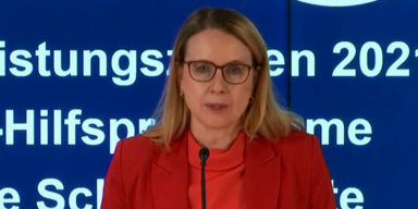 U-Ausschuss: Schramb&ouml;cks &raquo;Kaufhaus &Ouml;sterreich&laquo; um 1,8 Millionen