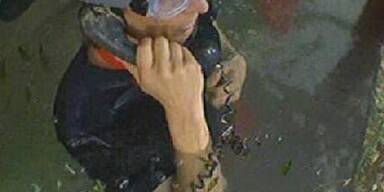 Unser Mausi: Sexspielchen im Urwald