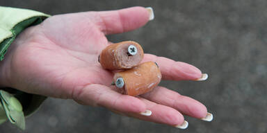 K&uuml;der Schrauben