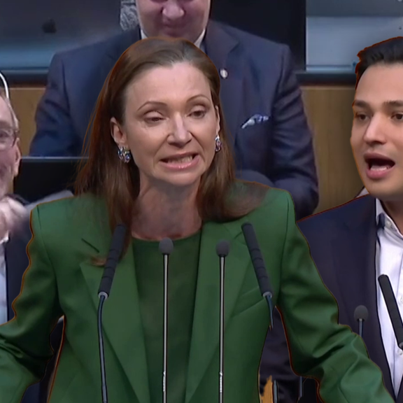 Heftiges Schrei-Duell um Putin im Nationalrat