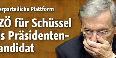 BZÖ für Schüssel als Präsident
