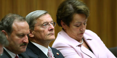 schuessel gorbach gehrer